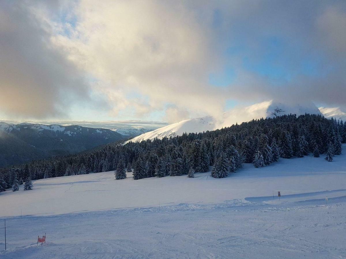 Praz-Du-Soleil F3 Appartement Les Gets Buitenkant foto
